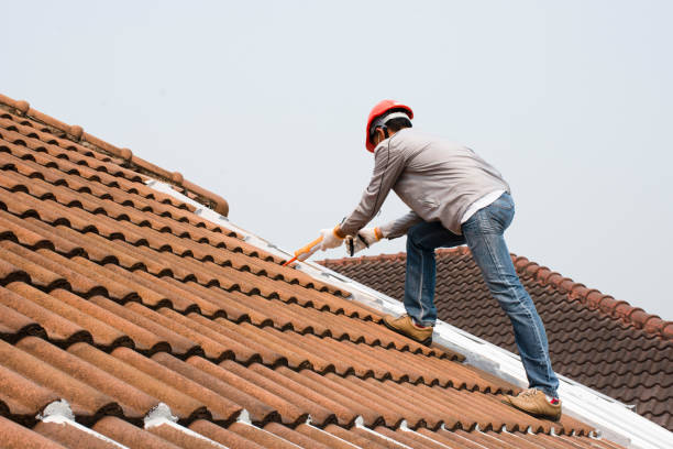 Best Roof Maintenance and Cleaning  in St Jaco, IL