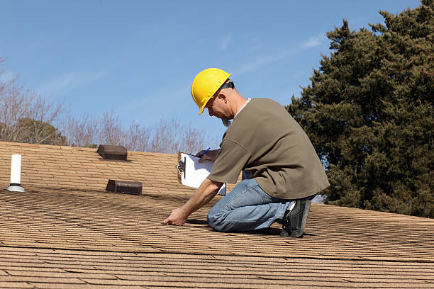 Best Skylight Installation and Repair  in St Jaco, IL